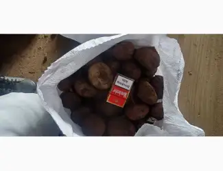 Зображення для оголошення Продам Буряк :Пабло