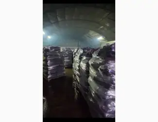 Зображення для оголошення Продається буряк столовий