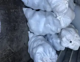 Зображення для оголошення Продам буряк