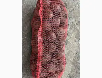 Зображення для оголошення Продам буряк