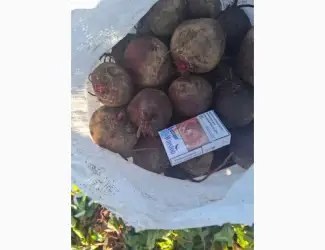 Зображення для оголошення Продам свеклу оптом с поля