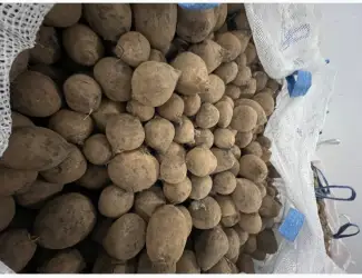 Зображення для оголошення Продам буряк