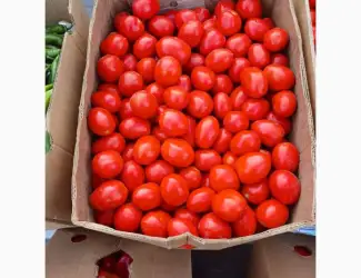 Зображення для оголошення Продам томати