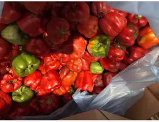 Зображення для оголошення Продам перець заморожений цілий