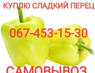 Зображення для оголошення Куплю сладкий перец