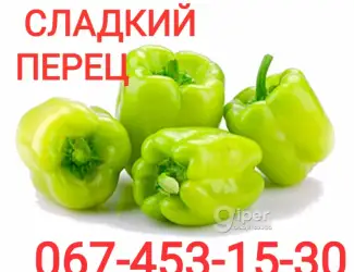 Зображення для оголошення Куплю перец на переробку