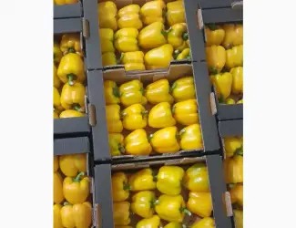Зображення для оголошення Продам перець