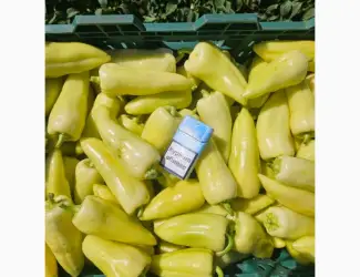 Зображення для оголошення Продам перец
