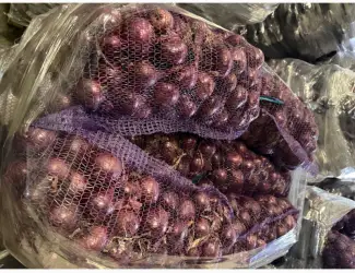 Зображення для оголошення Продам цибулю синю Марс