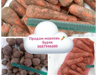 Зображення для оголошення Продам морковь