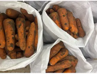 Зображення для оголошення Продам моркву