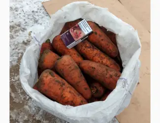 Зображення для оголошення Продам крупную морковь 1-го сорта