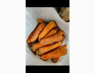 Зображення для оголошення Продам моркву