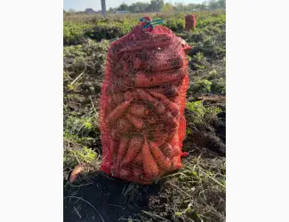 Зображення для оголошення Продам моркву 2 тони