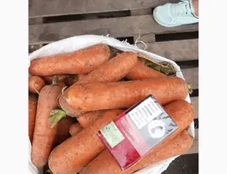 Зображення для оголошення Продаём морковь хорошего качества