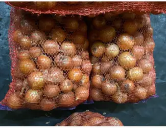 Зображення для оголошення Продам. Цибулю медуза