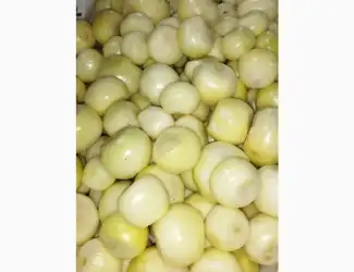 Зображення для оголошення Продам чишений лук
