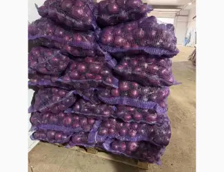 Зображення для оголошення Продам лук марс синий