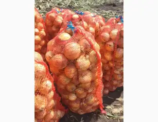 Зображення для оголошення Продам цибулю