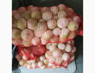 Зображення для оголошення Продам цибулю чищену