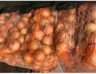 Зображення для оголошення Продам лук (Польша)