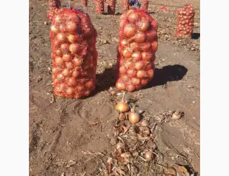 Зображення для оголошення Продам цибулю