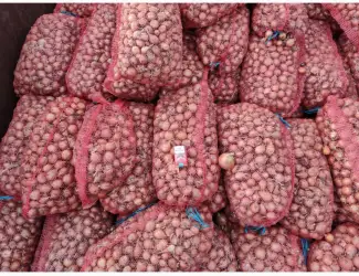 Зображення для оголошення Продам мілку цибулю