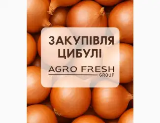 Зображення для оголошення Закуповуємо цибулю на постійній основі