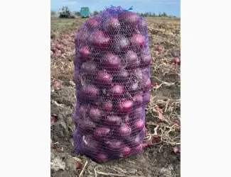 Зображення для оголошення Продам червону цибулю