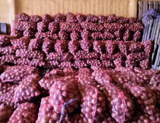 Зображення для оголошення Продам цибулю