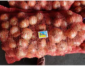Зображення для оголошення Продам лук цибулю Умань
