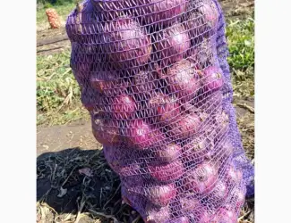 Зображення для оголошення Продам лук синий