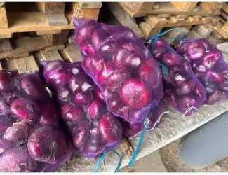 Зображення для оголошення Продам ялтинский лук