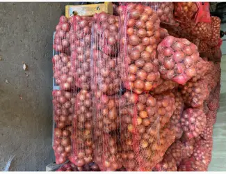 Зображення для оголошення Продам цибулю сорт медуза