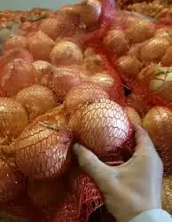 Зображення для оголошення Молода цибуля з Київщини напряму - рання зелена та ріпчаста