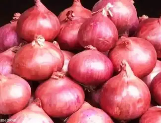 Зображення для оголошення Продам цибулю та часник з Египту