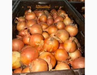 Зображення для оголошення Продам цибулю