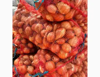 Зображення для оголошення Продам Цибулю