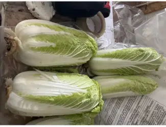 Зображення для оголошення ПРОДАМ пекинскую капусту