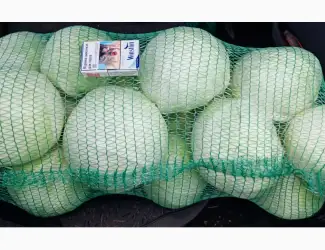 Зображення для оголошення Продам капусту.Сорт Анкома. Гарної якості