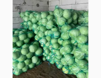 Зображення для оголошення Продам капусту Сторідор