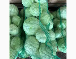 Зображення для оголошення Продам капусту б/к