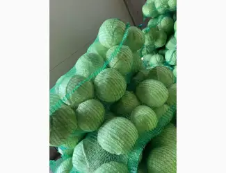 Зображення для оголошення Продам капусту