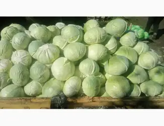 Зображення для оголошення Продам Агресор