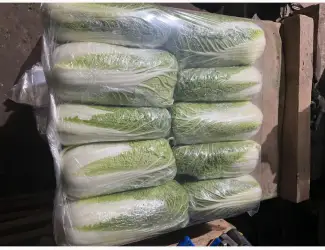 Зображення для оголошення Продам пекінську капусту