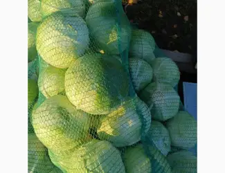 Зображення для оголошення Капуста