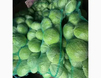Зображення для оголошення Продам капусту