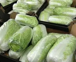Зображення для оголошення Приймаємо замовлення на пекінську капусту гуртом. Від 10 тонн