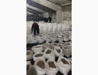 Зображення для оголошення Воздушка чеснока однозубка