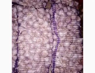 Зображення для оголошення Продам часник